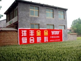  霍邱如何让墙体广告展现最大化效果