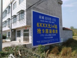  霍邱墙体广告质量分析