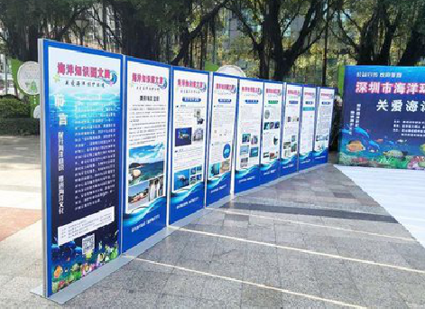  霍邱KT板的种类和知识。